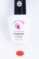 DREAM GEL COLOR 24 - Master Nail Supply