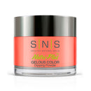 SNS DIP EC 10 - Master Nail Supply
