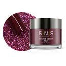 SNS DIP DC 19 - Master Nail Supply 