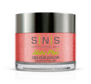 SNS DIP IS 22 - Master Nail Supply 