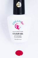 DREAM GEL COLOR 17 - Master Nail Supply 